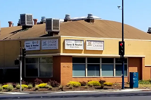 East Bay SPCA Spay & Neuter Surgery Center — customer photo 2