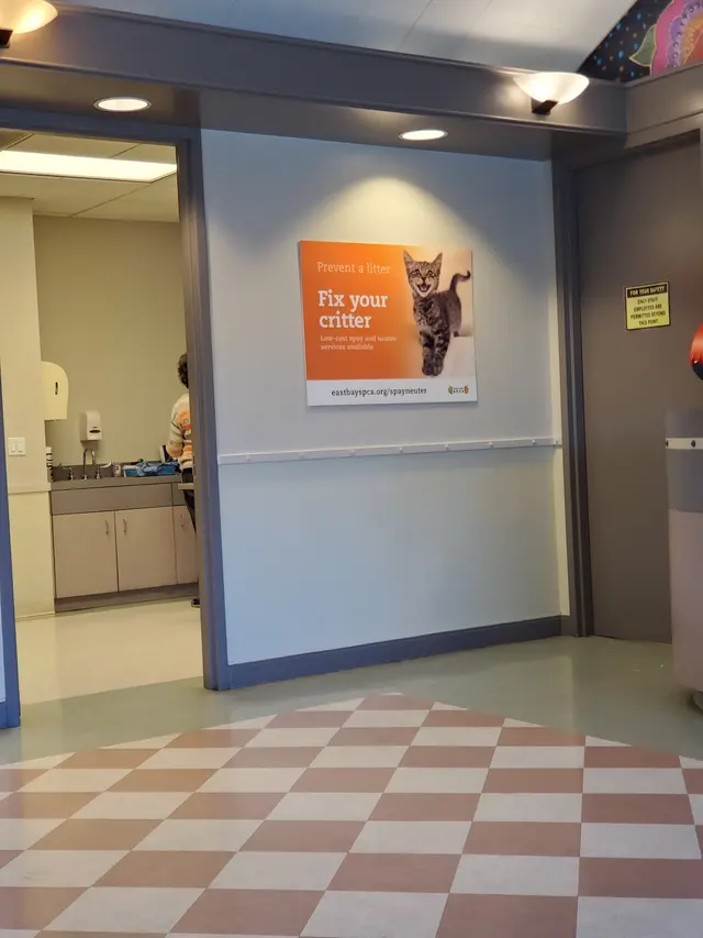 East Bay SPCA Spay & Neuter Surgery Center — customer photo 5