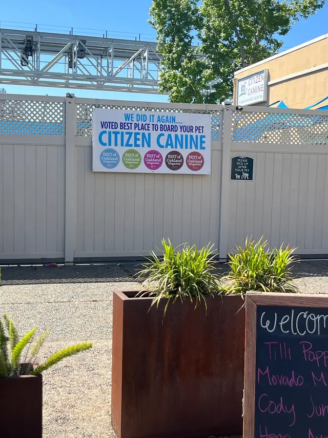 East Bay SPCA Spay & Neuter Surgery Center — customer photo 7