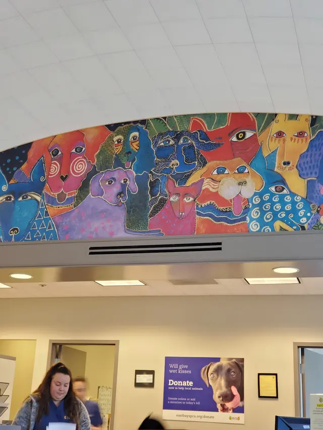 East Bay SPCA Spay & Neuter Surgery Center — customer photo 10