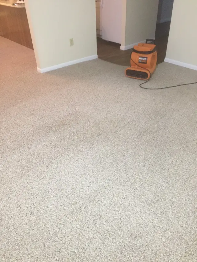 Carpet Cleaning Vermont — photo from the business 2