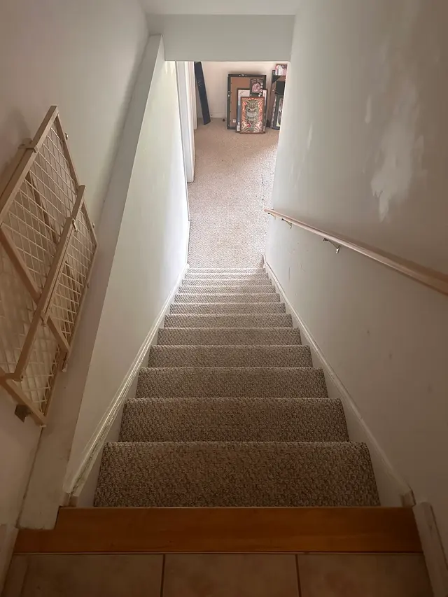 Stanley Steemer — customer photo 7