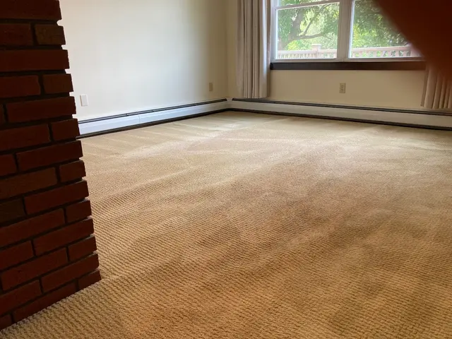 Stanley Steemer — customer photo 8