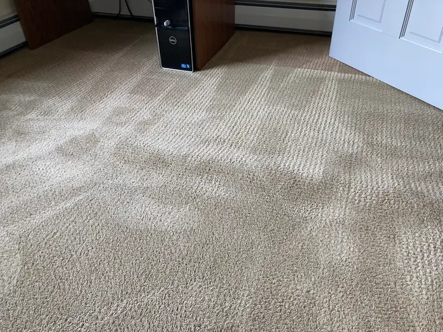 Stanley Steemer — customer photo 11