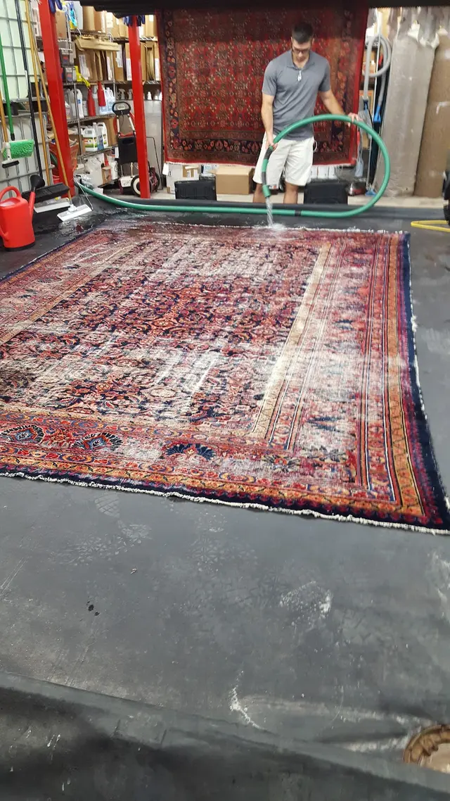 Maple Leaf Carpet & Tile Cleaning — customer photo 3