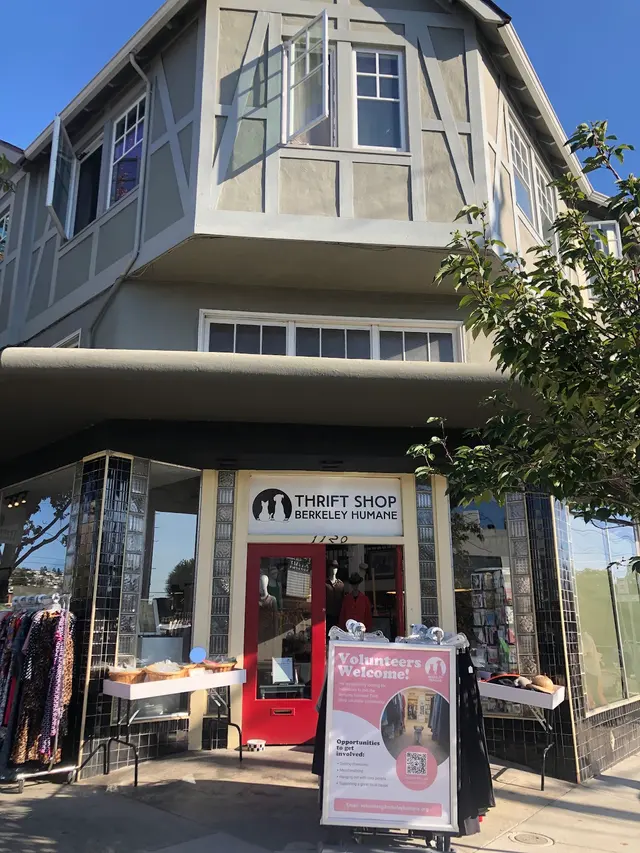 Customer photo of work by Thrift Shop supporting Berkeley Humane, from Grace Lin's review