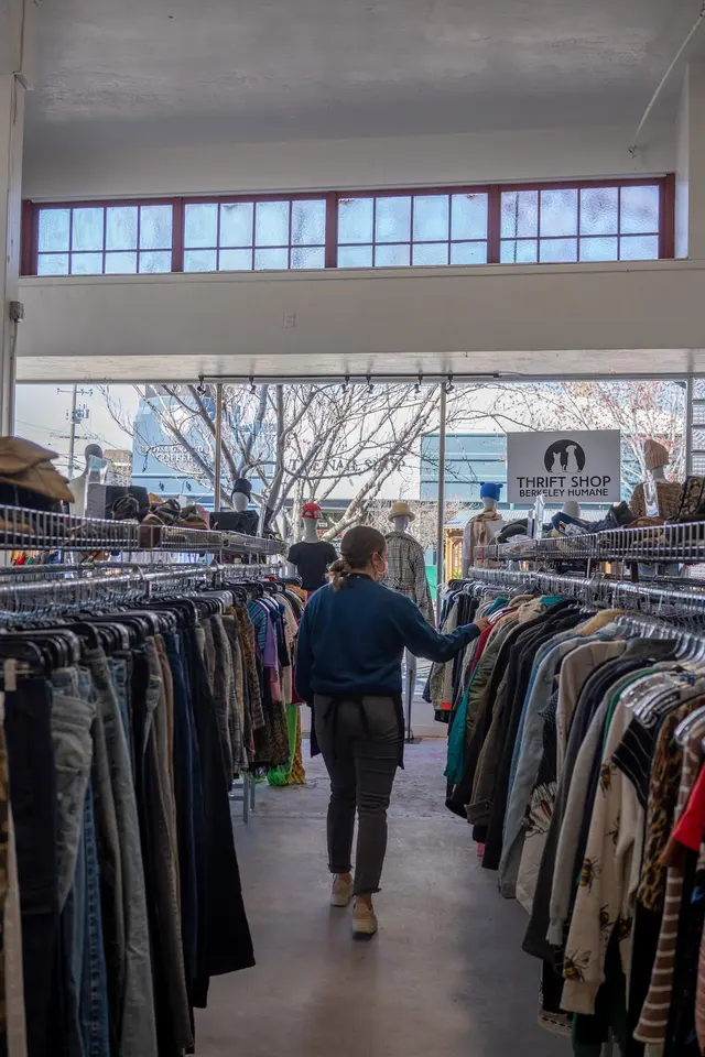 Thrift Shop supporting Berkeley Humane — photo from the business 2