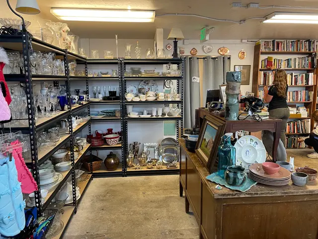 Thrift Shop supporting Berkeley Humane — customer photo 3