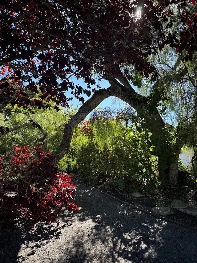 Finley's Tree & Landcare — customer photo 11