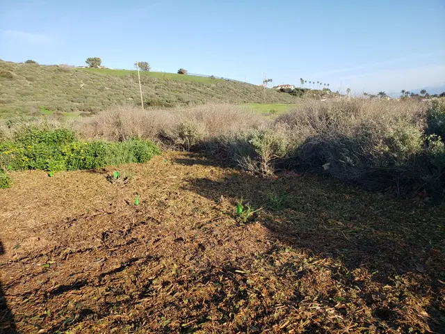 Finley's Tree & Landcare — customer photo 6