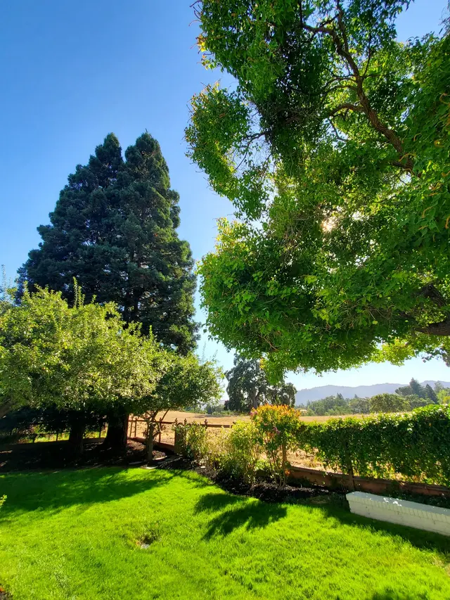 Customer photo of work by Landscape Experts, Inc., from Lisa Reed's review
