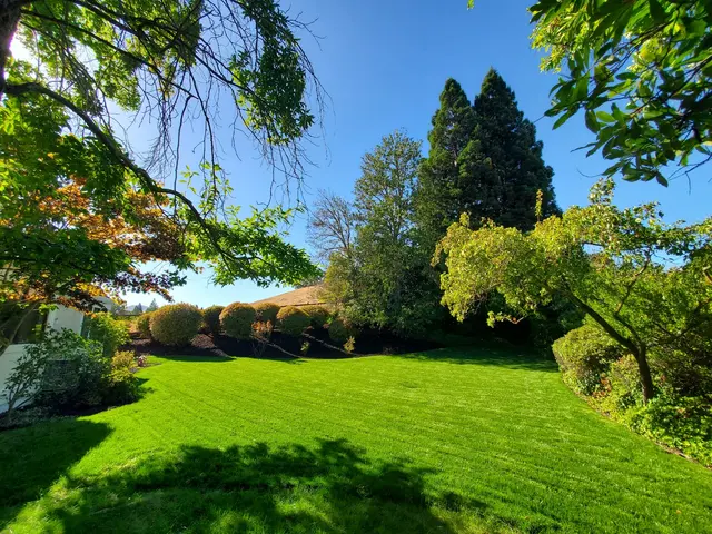 Customer photo of work by Landscape Experts, Inc., from Lisa Reed's review