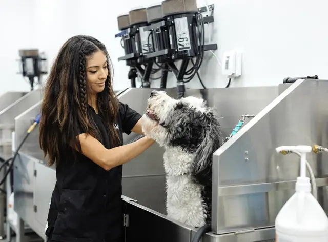 Sparkle Grooming Co. — photo from the business 2
