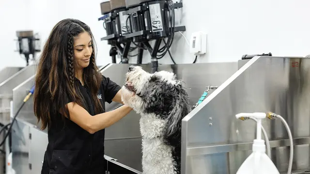 Sparkle Grooming Co. — photo from the business 1