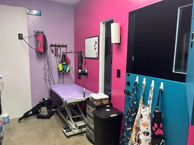 Megz Pet Grooming — photo from the business 1
