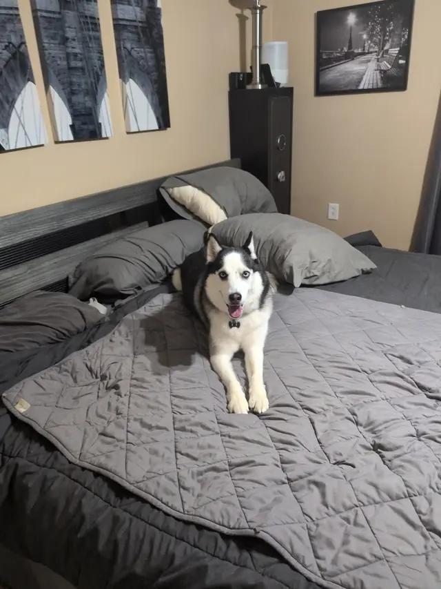 Customer photo from Nate's review