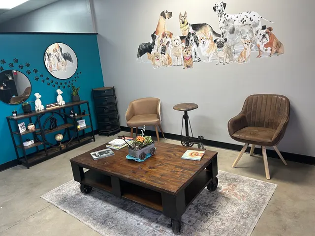 Megz Pet Grooming — photo from the business 6
