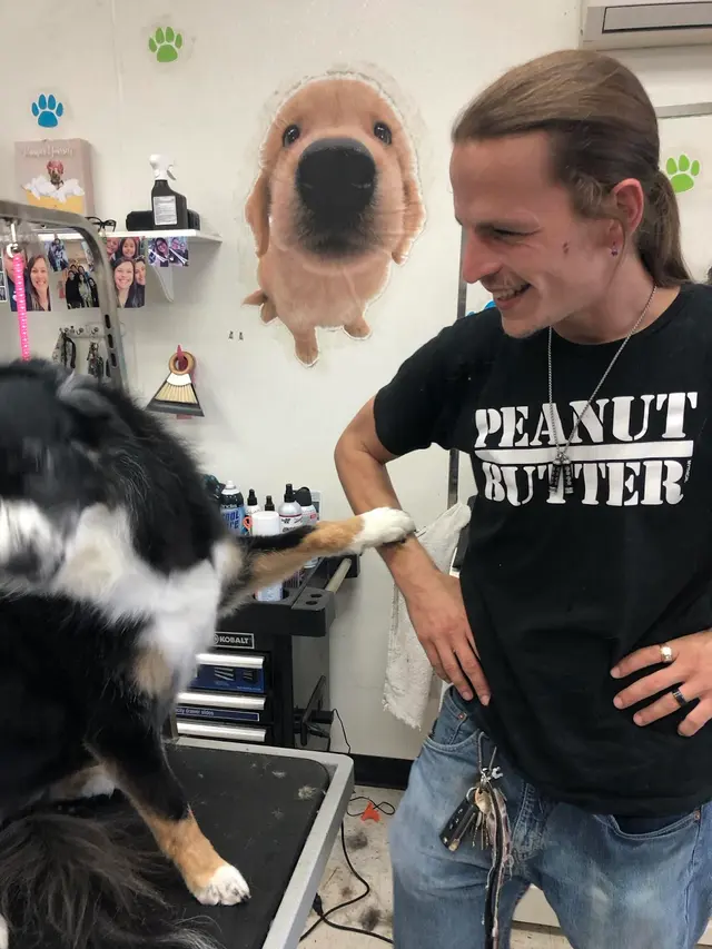 Bark & Purr Pet Grooming — photo from the business 5
