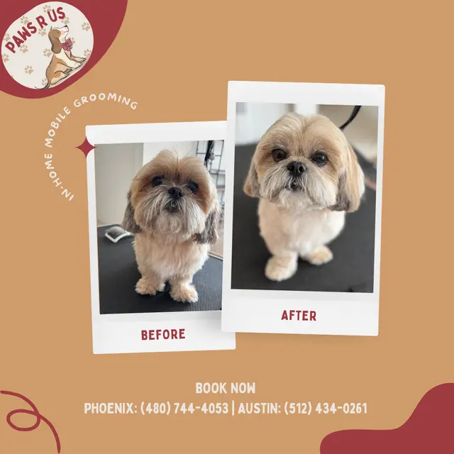 Paws R Us In-Home Mobile Grooming — photo from the business 1