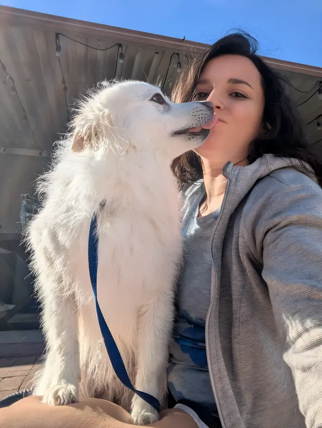 Paws R Us In-Home Mobile Grooming — photo from the business 11