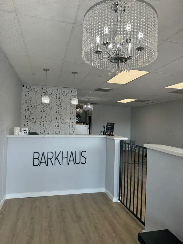 BarkHaus Dog Grooming — photo from the business 6