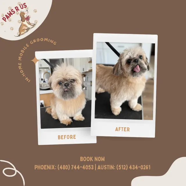 Paws R Us In-Home Mobile Grooming — photo from the business 11