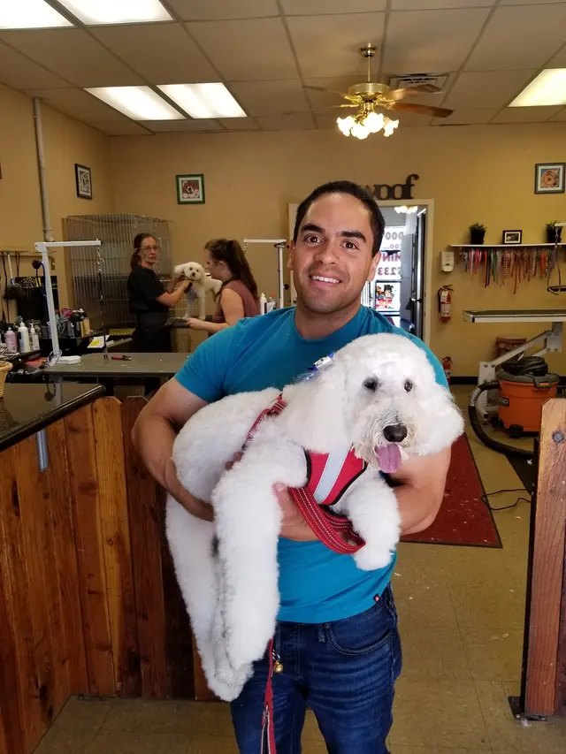 Doggie Doos Grooming — customer photo 3