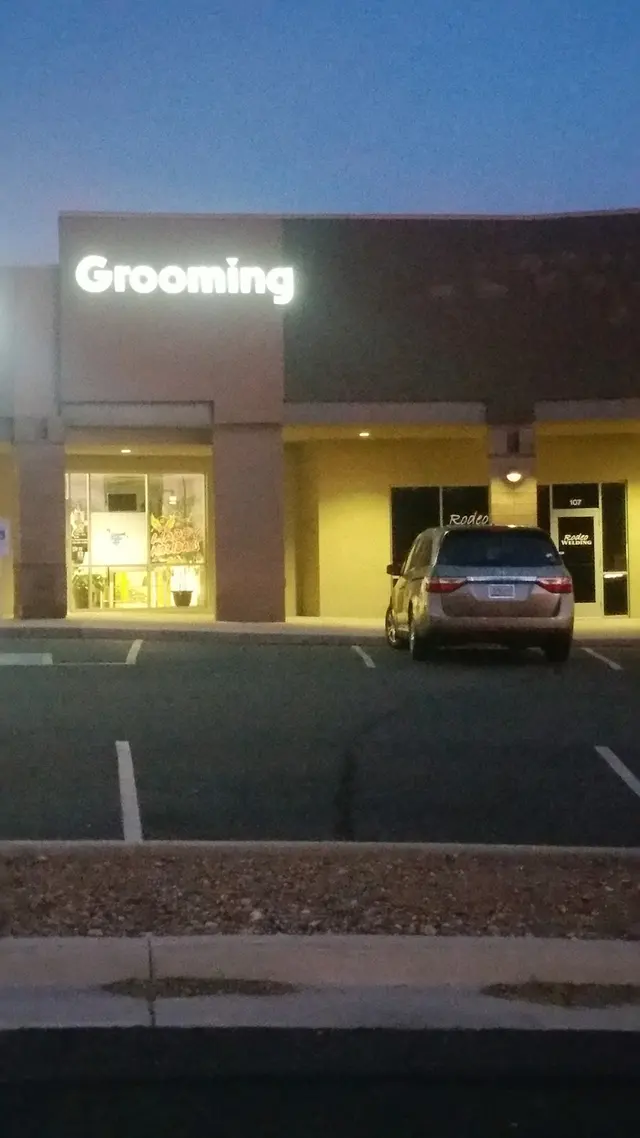 Above & Beyond Grooming — customer photo 11