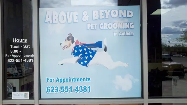 Above & Beyond Grooming — customer photo 9