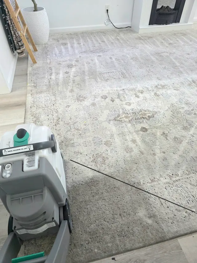 Emiliano House cleaning — photo from the business 4