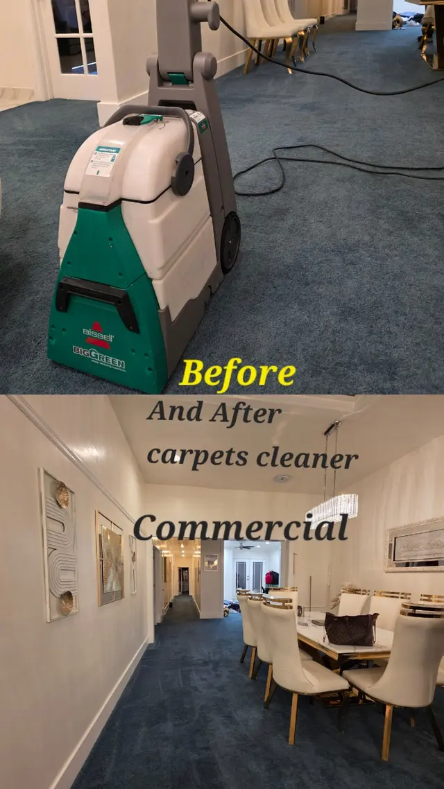 Emiliano House cleaning — photo from the business 11