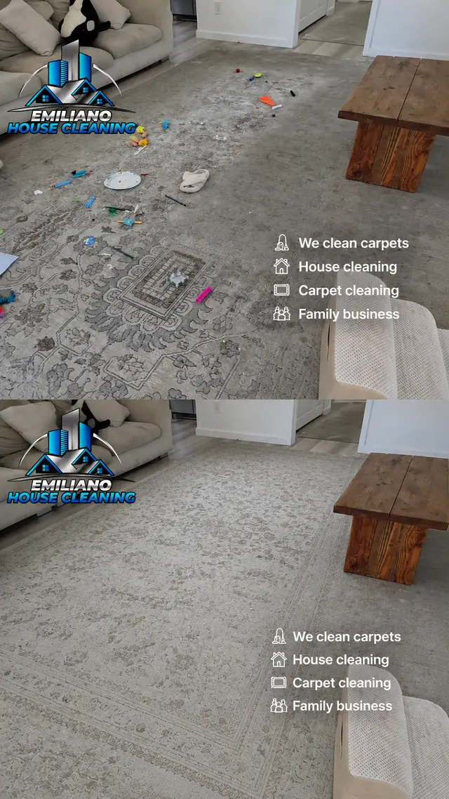 Emiliano House cleaning — photo from the business 10