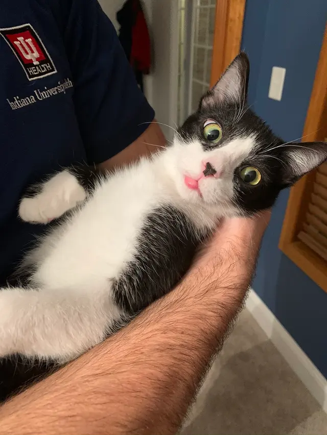 Animal Dermatology Clinic — customer photo 1
