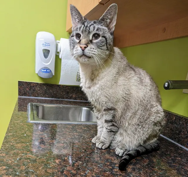 Fall Creek Veterinary Medical Center — customer photo 2