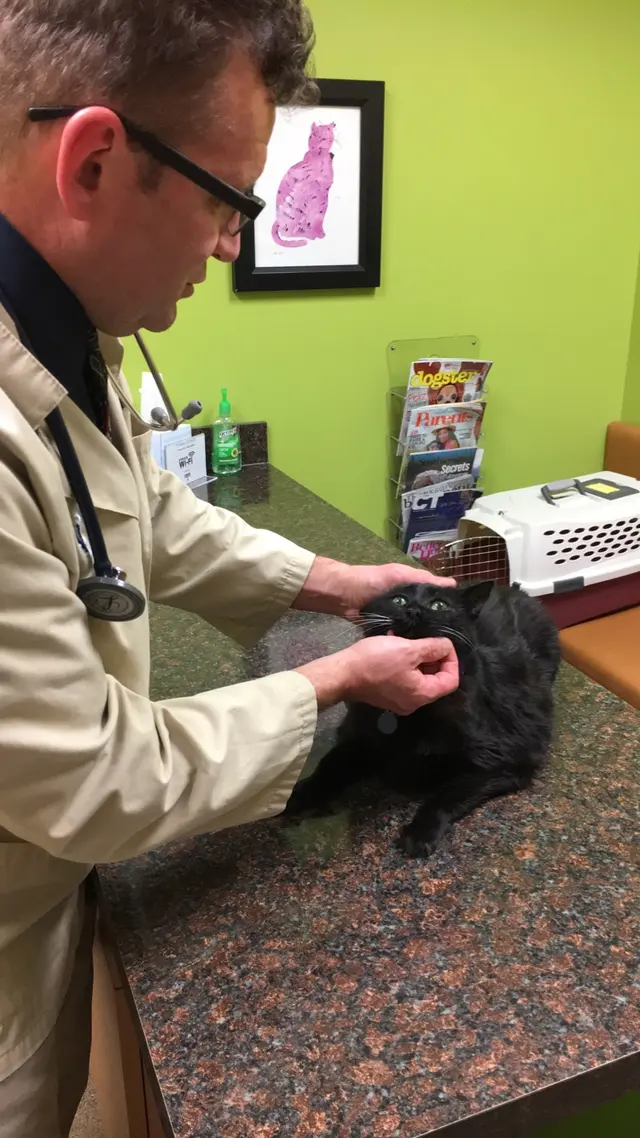 Fall Creek Veterinary Medical Center — photo from the business 8