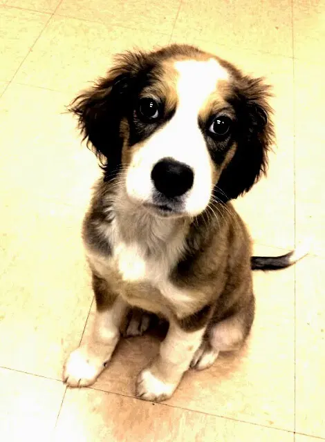 Fall Creek Veterinary Medical Center — photo from the business 7