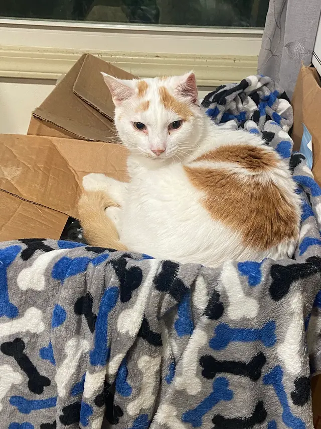 Fall Creek Veterinary Medical Center — customer photo 3