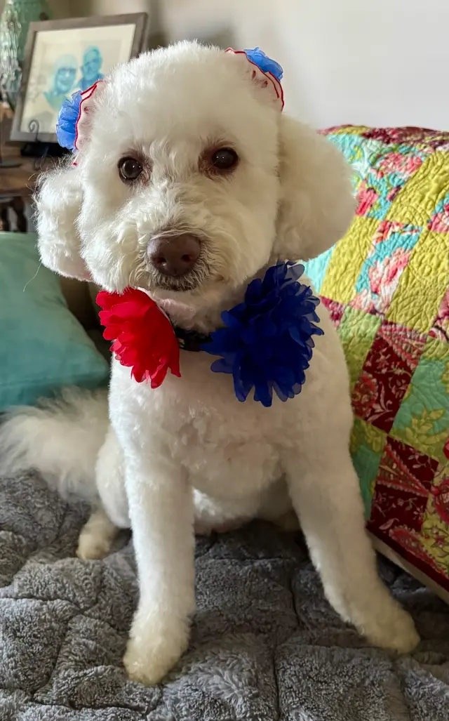 Fall Creek Veterinary Medical Center — customer photo 11