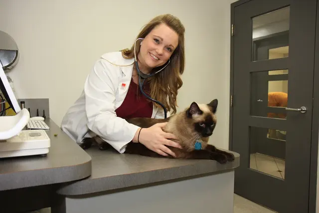 Broad Ripple Animal Clinic — photo from the business 9