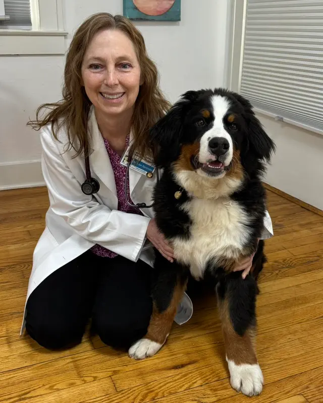 Broad Ripple Animal Clinic — photo from the business 2