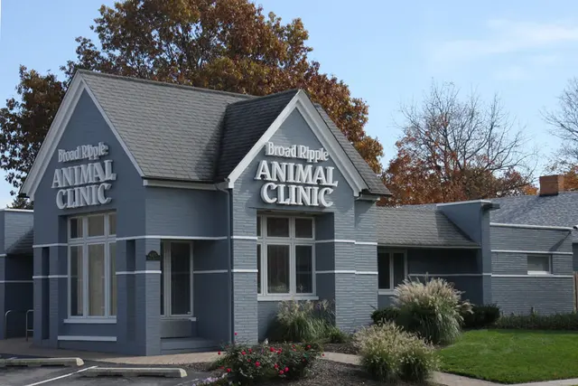 Broad Ripple Animal Clinic — photo from the business 7