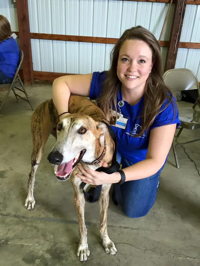 Broad Ripple Animal Clinic — photo from the business 5