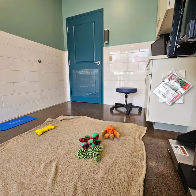 Northside Paws Veterinary Care — customer photo 11