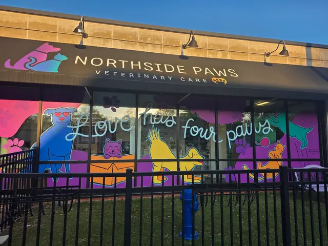 Northside Paws Veterinary Care — photo from the business 1