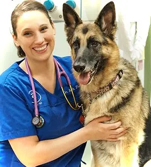 Northside Paws Veterinary Care — photo from the business 5