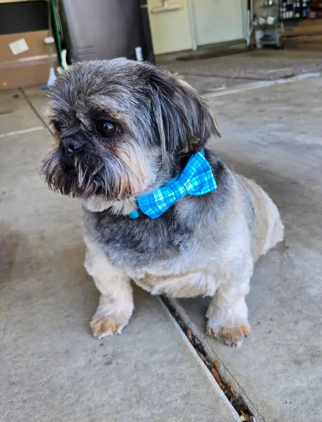 South Side Animal Hospital — customer photo 10