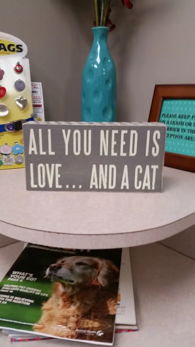 South Side Animal Hospital — customer photo 8