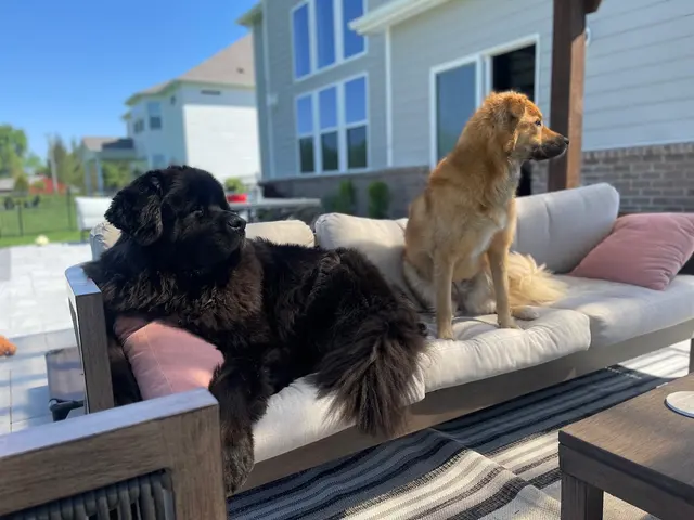 Westfield Veterinary Care — customer photo 5