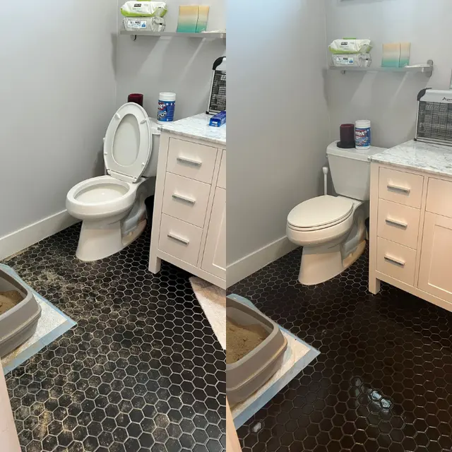 Blooming Cleaning Solutions | Cleaning Services Richmond — photo from the business 2