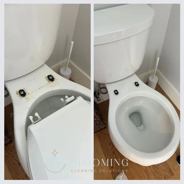Blooming Cleaning Solutions | Cleaning Services Richmond — photo from the business 4